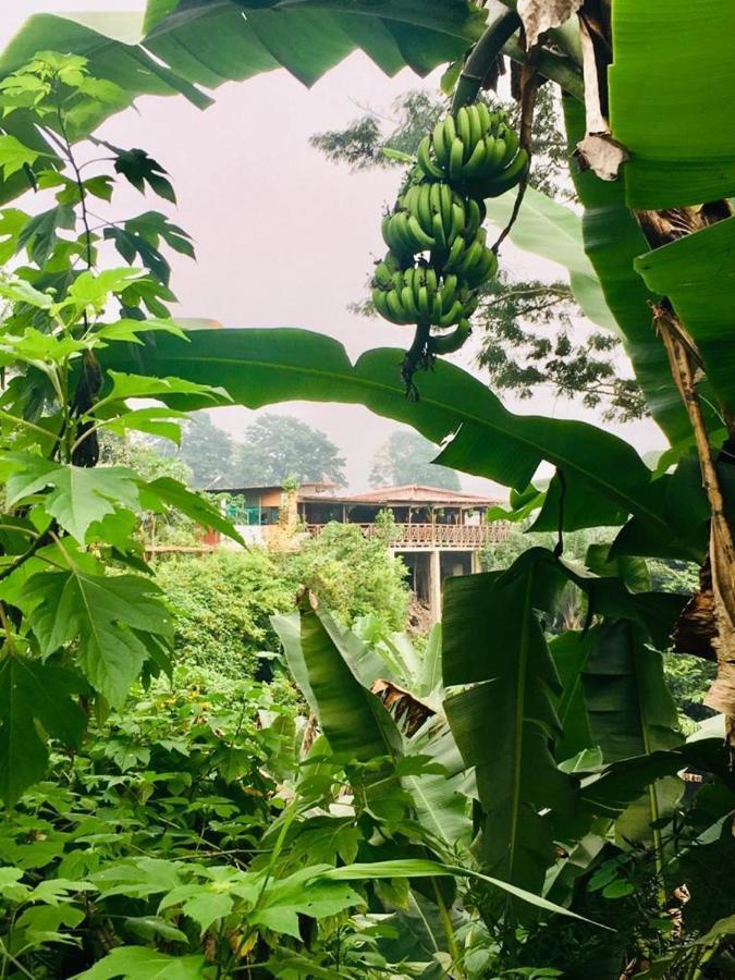 Roca Saudade Guest House Trindade Ngoại thất bức ảnh